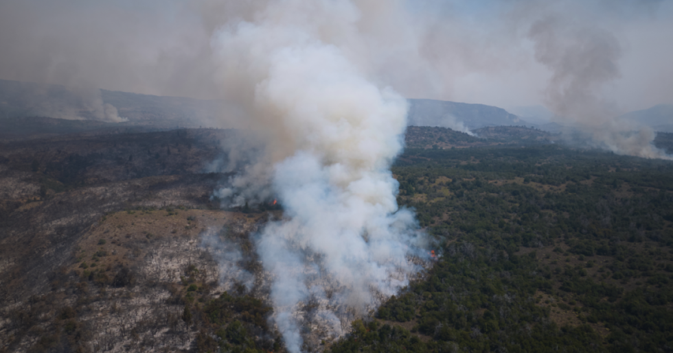 Σε κατάσταση έκτακτης ανάγκης η Αργεντινή, στάχτη η Παταγονία